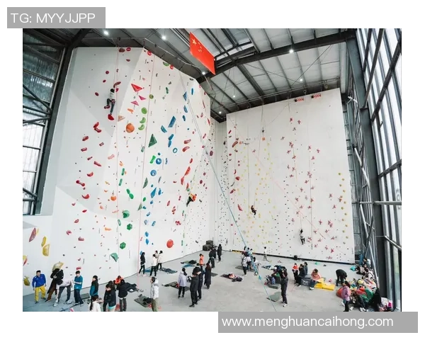 北京攀岩队实力全面解析及各队员表现对比分析