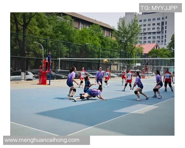 北京排球队在排球比赛中创下新高经验排名引发热议